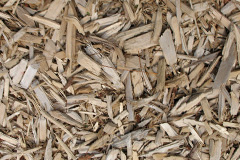 biomass boilers Dwyran